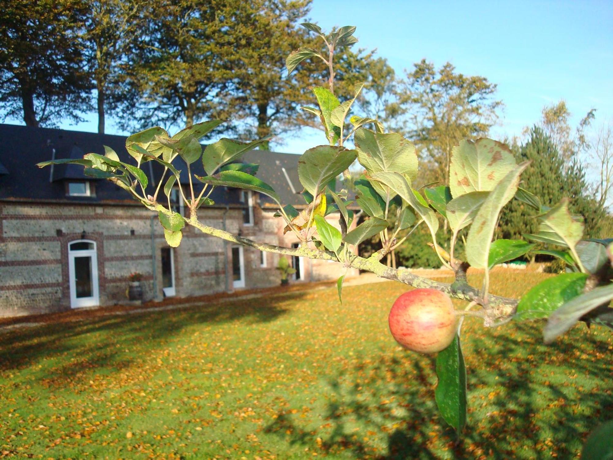 Maison De Vacances Clos Des Hogues Entre Etretat Et Fecamp Saint-Léonard المظهر الخارجي الصورة